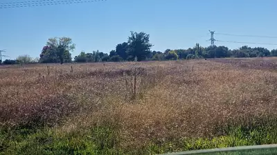 Terrain à bâtir, 1 500 m²