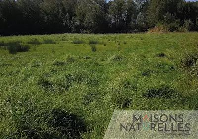 Maison neuve, 113 m²