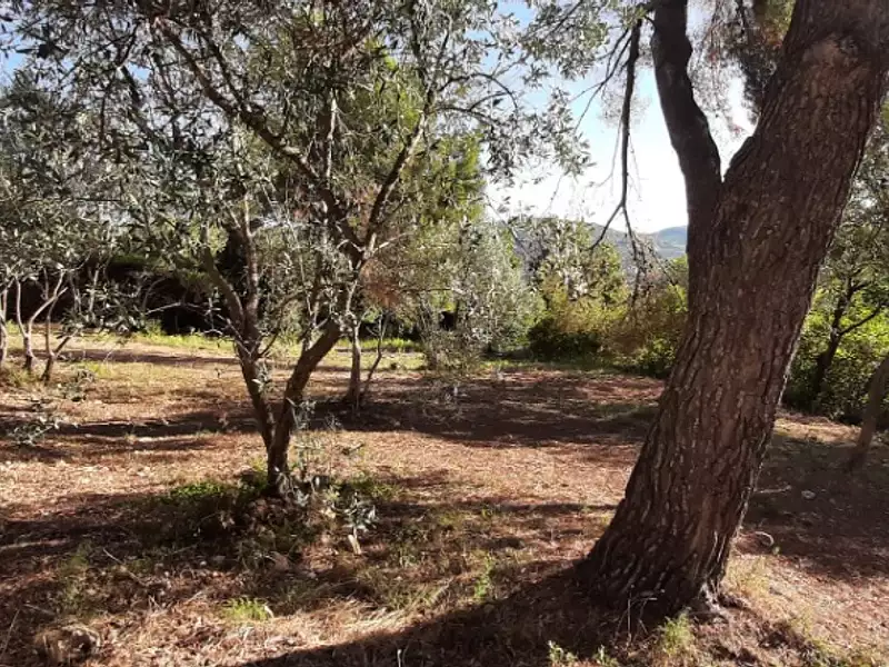 Terrain à bâtir, 800 m² - Draguignan (83300)