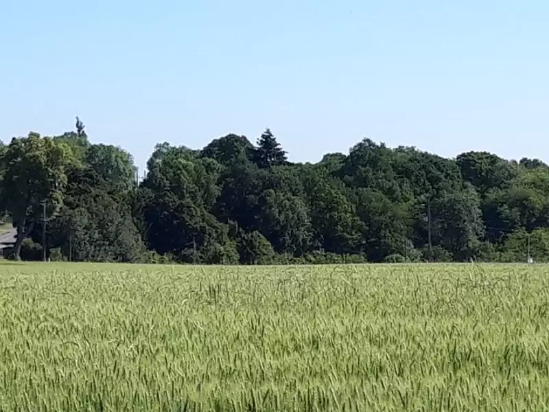 Terrain à bâtir, 565 m² - Boullay-les-Troux (91470)