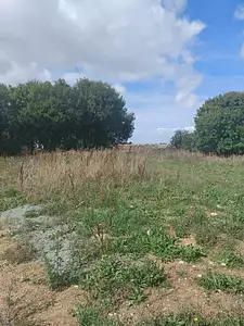 Terrain à bâtir, 422 m²