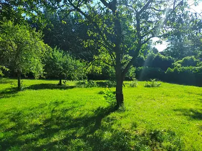 Maison neuve, 90 m²