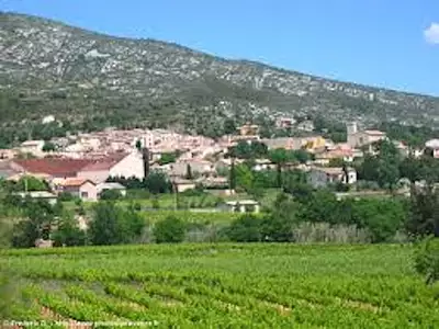 Terrain à bâtir, 890 m²