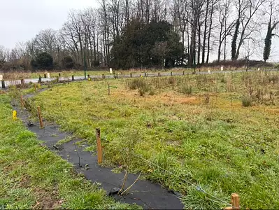 Terrain à bâtir, 805 m²
