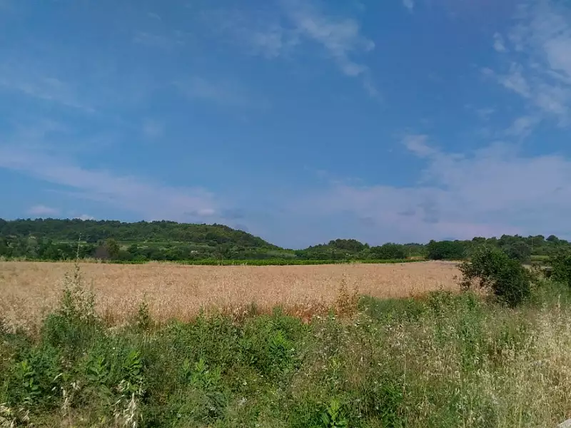 Terrain à bâtir, 443 m² - Pinet (34850)