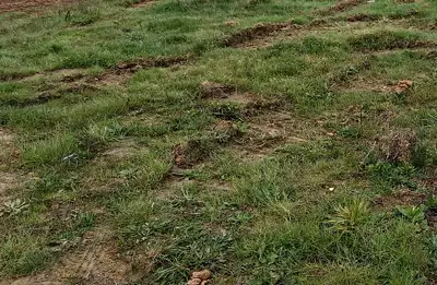 Terrain à bâtir, 770 m²