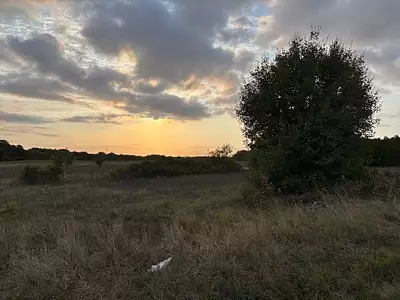 Terrain à bâtir, 448 m²