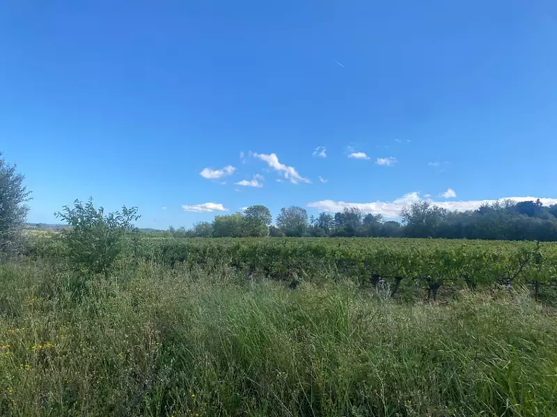 Terrain à bâtir, 460 m² - Ginestas (11120)