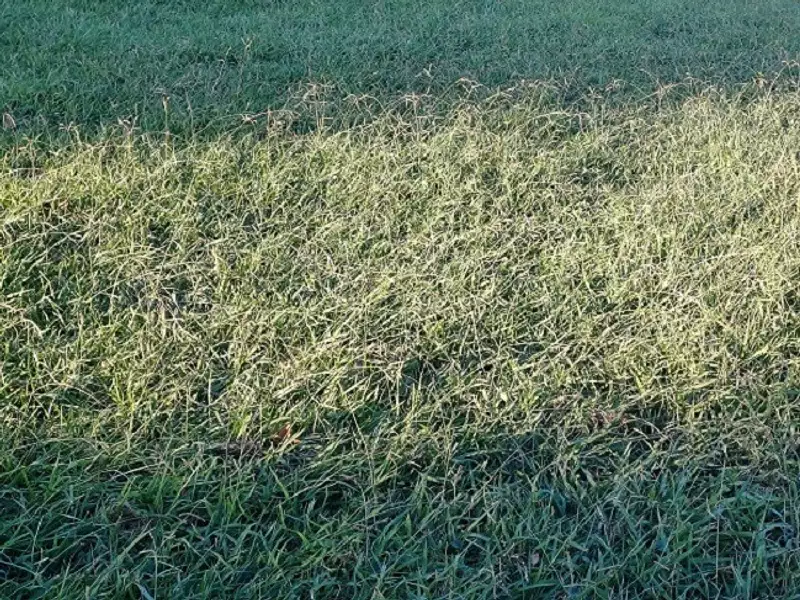 Terrain à bâtir, 387 m² - Argelès-sur-Mer (66700)