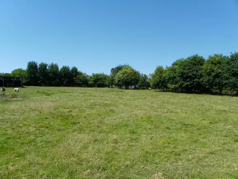 Maison neuve, 80 m² - Pissos (40410)