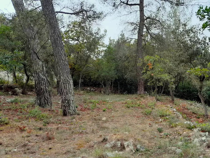 Maison neuve, 90 m² - Saint-Maximin-la-Sainte-Baume (83470)