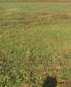 Terrain à bâtir, 1 025 m²