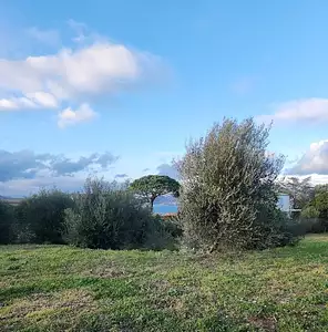 Terrain à bâtir, 850 m²