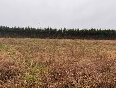 Maison neuve, 80 m²