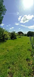 Terrain à bâtir, 1 500 m²