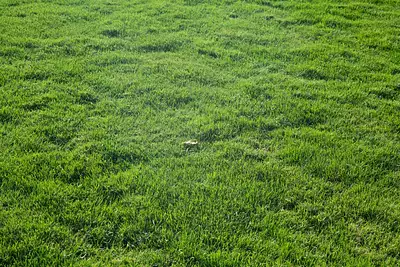 Maison neuve, 79 m²