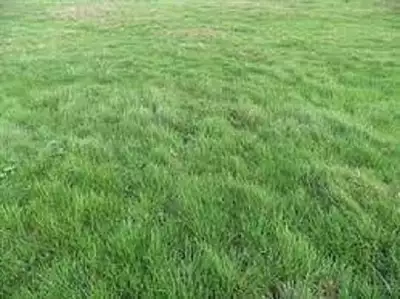 Maison neuve, 89 m²