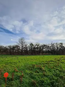 Terrain à bâtir, 398 m²