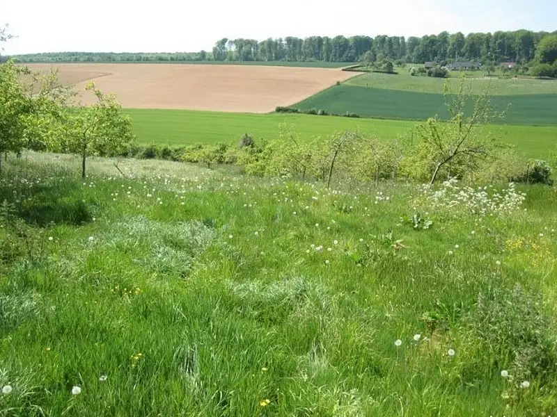 Terrain à bâtir, 7 000 m² - Rétonval (76340)