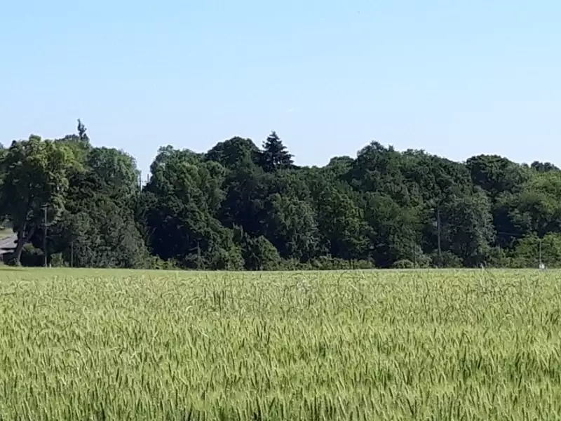 Terrain à bâtir, 576 m² - Saint-Rémy-lès-Chevreuse (78470)