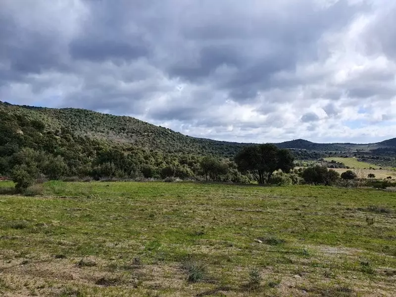 Terrain à bâtir, 1 176 m² - Tarerach (66320)