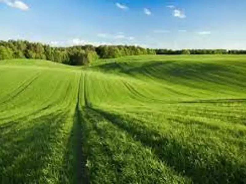 Terrain à bâtir, 400 m² - Pontault-Combault (77340)