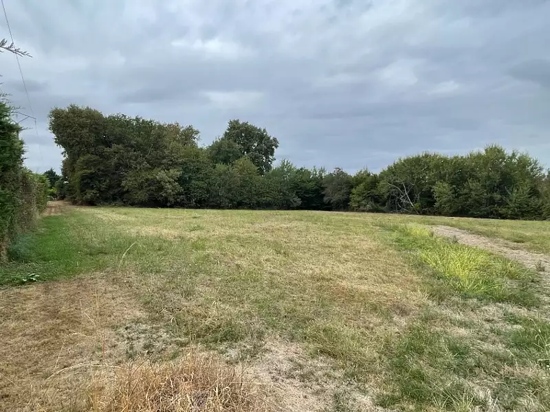 Terrain à bâtir, 3 780 m² - Saint-Félix-de-Foncaude (33540)