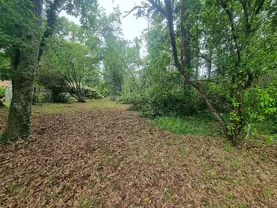Terrain à bâtir, 1 170 m²