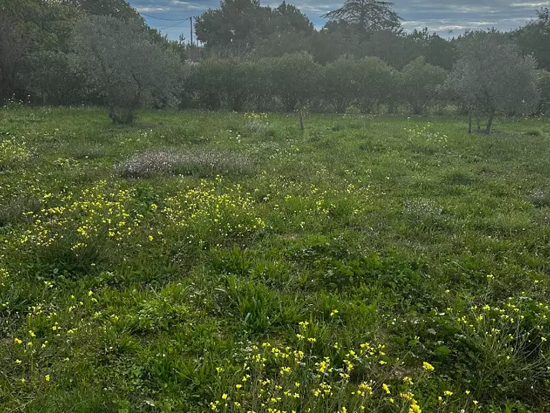 Maison neuve, 150 m² - Saint-Cannat (13760)