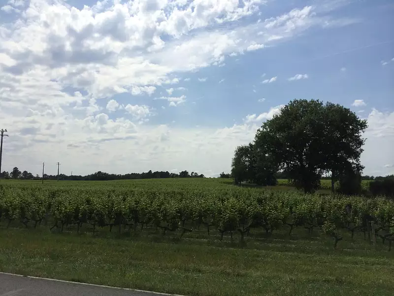 Terrain à bâtir, 1 000 m² - Salles (33770)