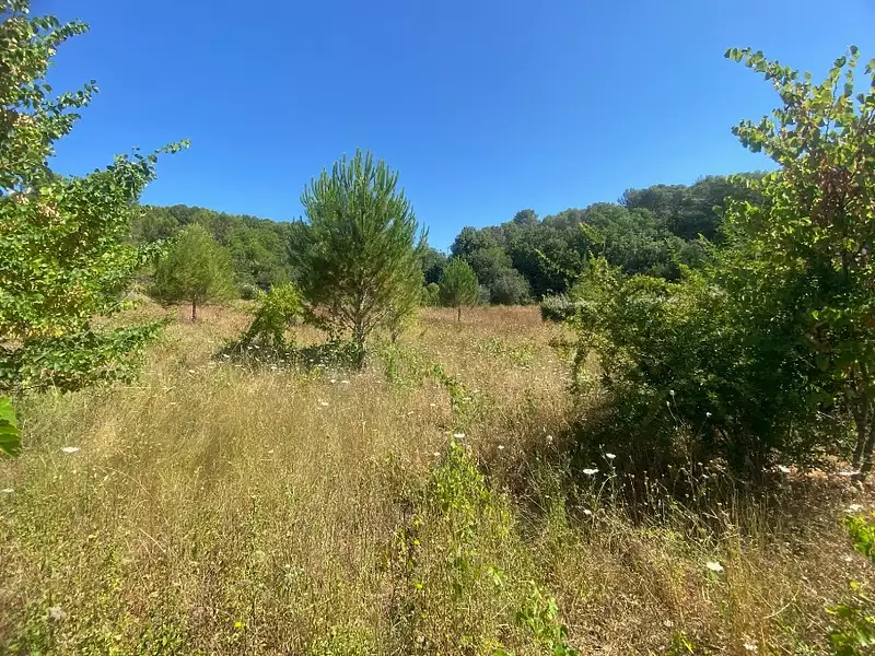 Terrain à bâtir, 1 200 m² - Lorgues (83510)