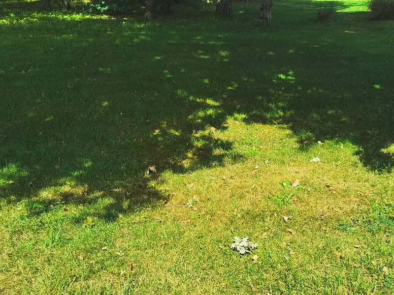 Terrain à bâtir, 605 m² - Mios (33380)