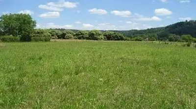 Terrain à bâtir, 800 m²