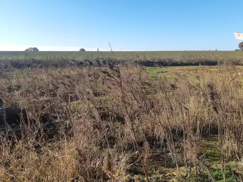 Terrain à bâtir, 446 m² - Merville (31330)