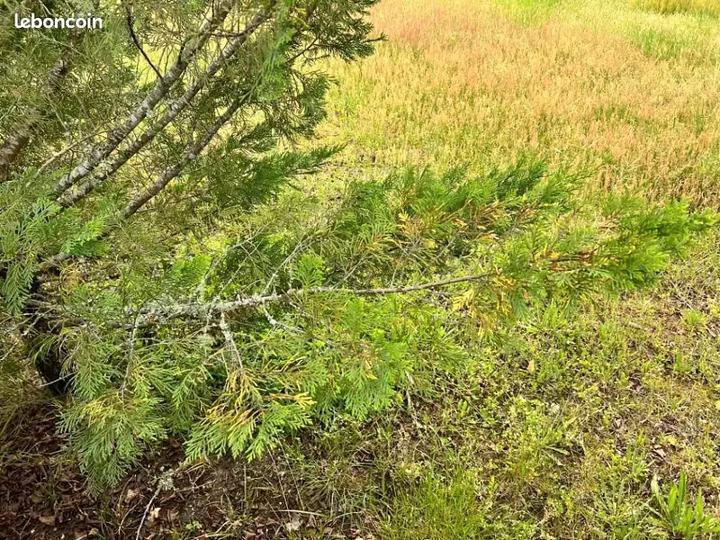 Terrain à bâtir, 500 m² - Dax (40100)