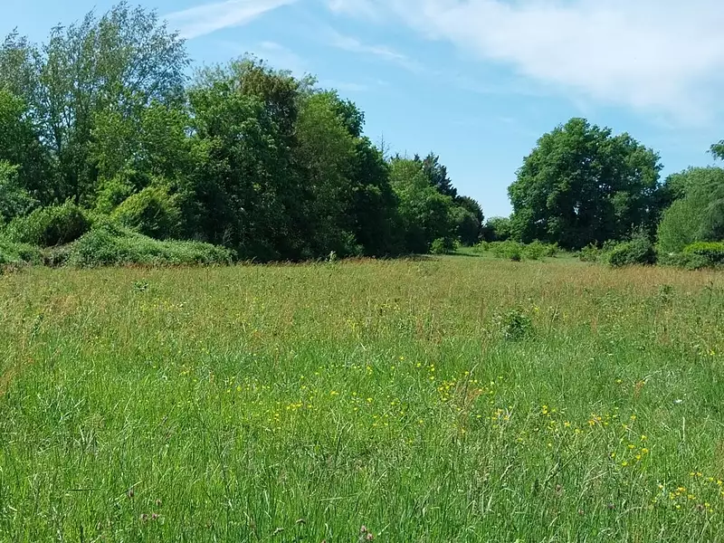 Terrain à bâtir, 3 200 m² - Saint-Médard-de-Mussidan (24400)