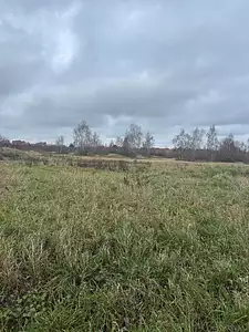 Maison neuve, 100 m²