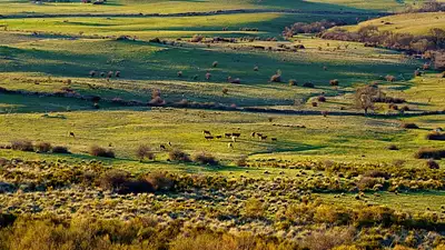 Terrain à bâtir, 540 m²