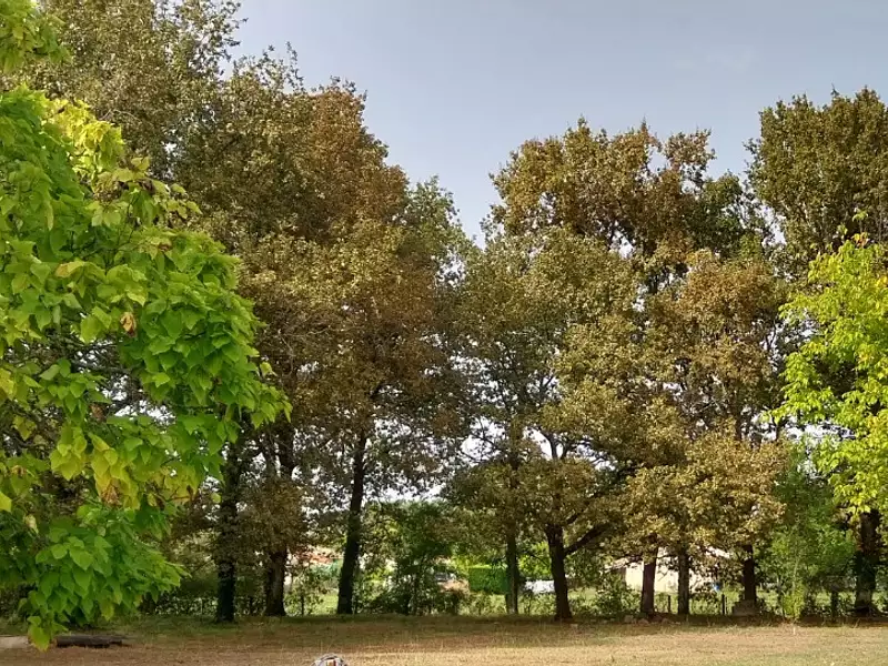 Terrain à bâtir, 420 m² - Le Taillan-Médoc (33320)