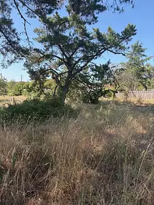 Terrain à bâtir, 1 209 m²