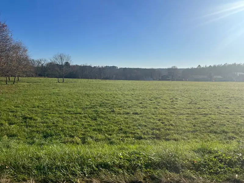 Terrain à bâtir, 1 000 m² - Casteljaloux (47700)