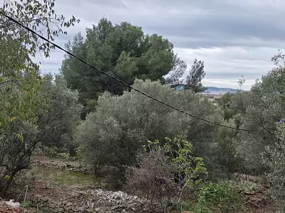 Maison neuve, 90 m²