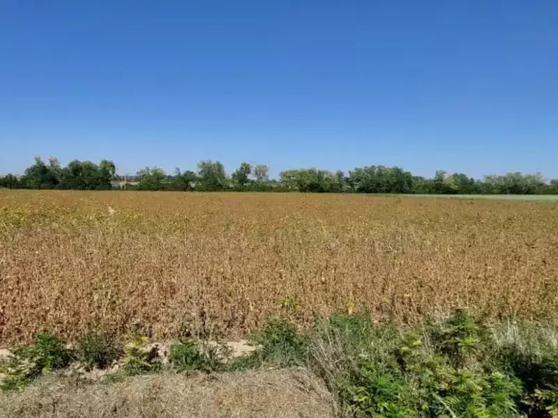 Terrain à bâtir, 903 m² - Ciel (71350)
