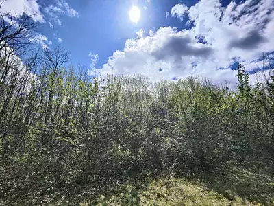 Terrain à bâtir, 1 000 m²