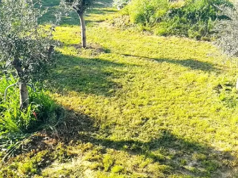 Terrain à bâtir, 980 m² - Bize-Minervois (11120)