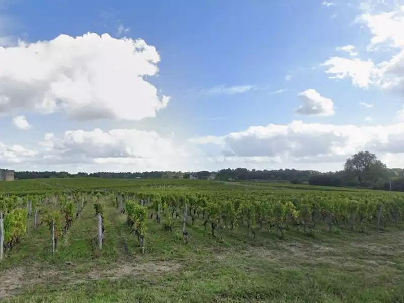 Terrain à bâtir, 1 672 m² - Fargues (33210)