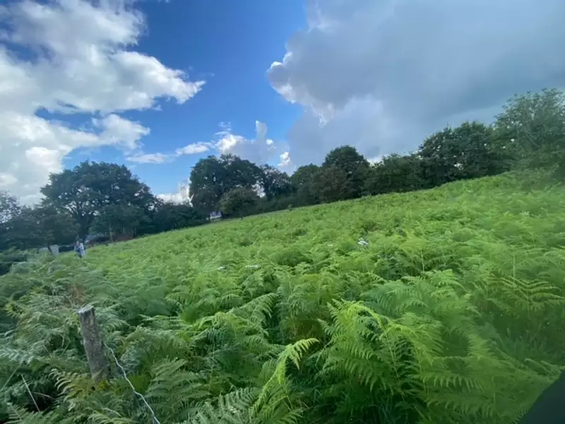 Maison neuve, 89 m² - Saint-Dolay (56130)