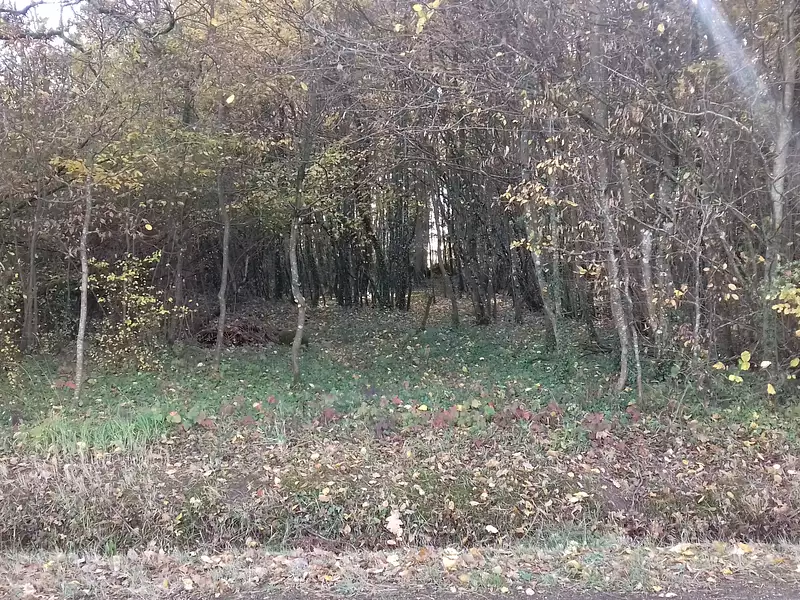 Terrain à bâtir, 666 m² - Montargis (45200)