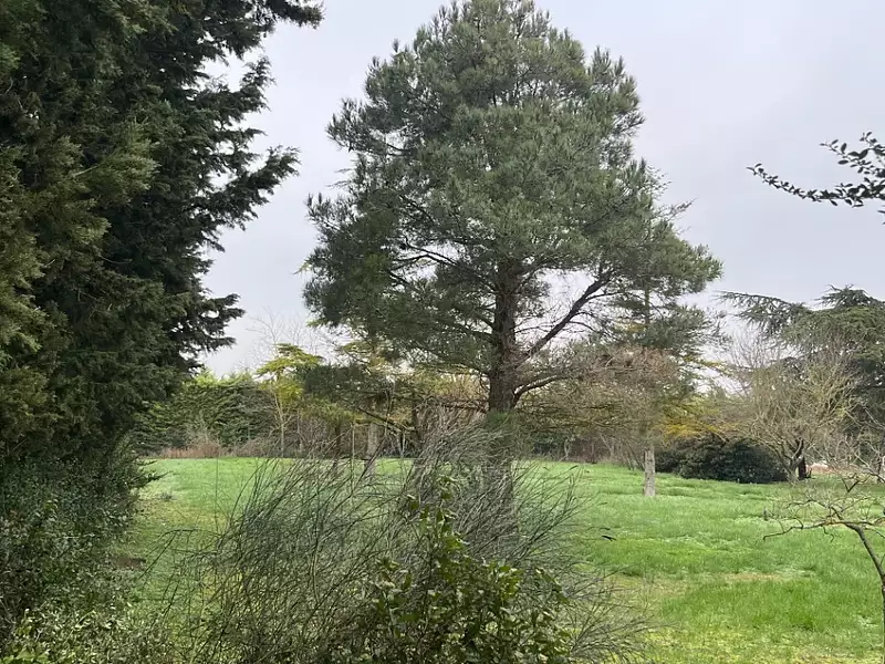 Terrain à bâtir, 803 m² - Villeneuve-la-Comptal (11400)