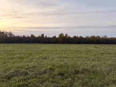 Terrain à bâtir, 950 m²